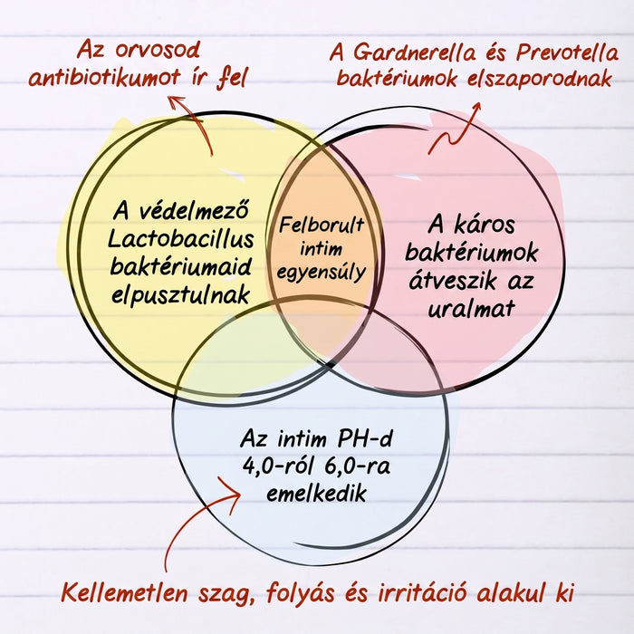 Bakteriális diszbiózis diagram
